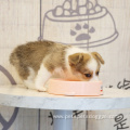 Slow Eating Dog Bowl Dog Bowl Quality